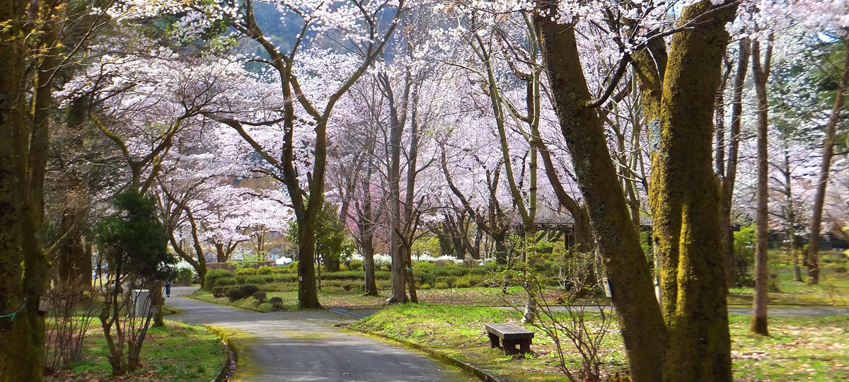 石川県農林総合研究センター 林業試験場(樹木公園)