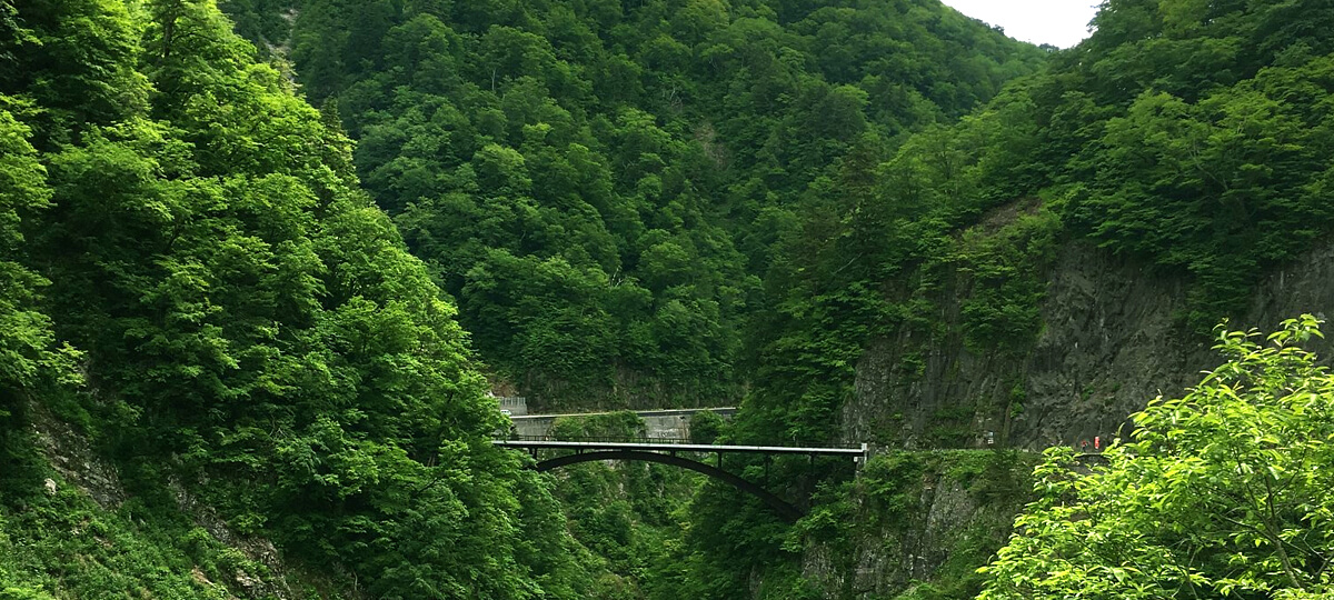蛇谷大橋（白山白川郷ホワイトロード）