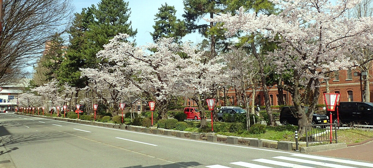 百万石通り（金沢湯涌福光線）