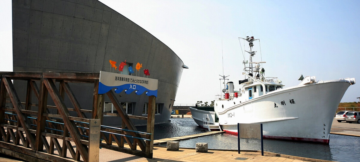 石川県海洋漁業科学館　＊当面の間休館しています