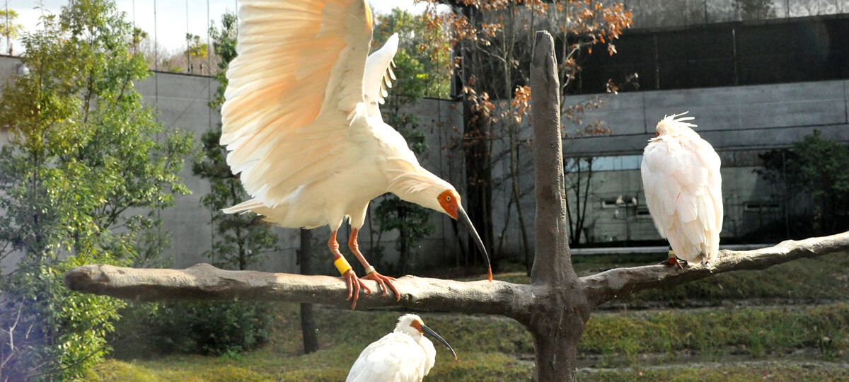 いしかわ動物園