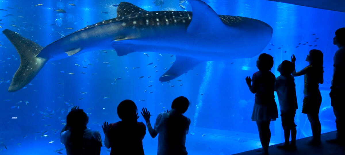 のとじま臨海公園水族館　