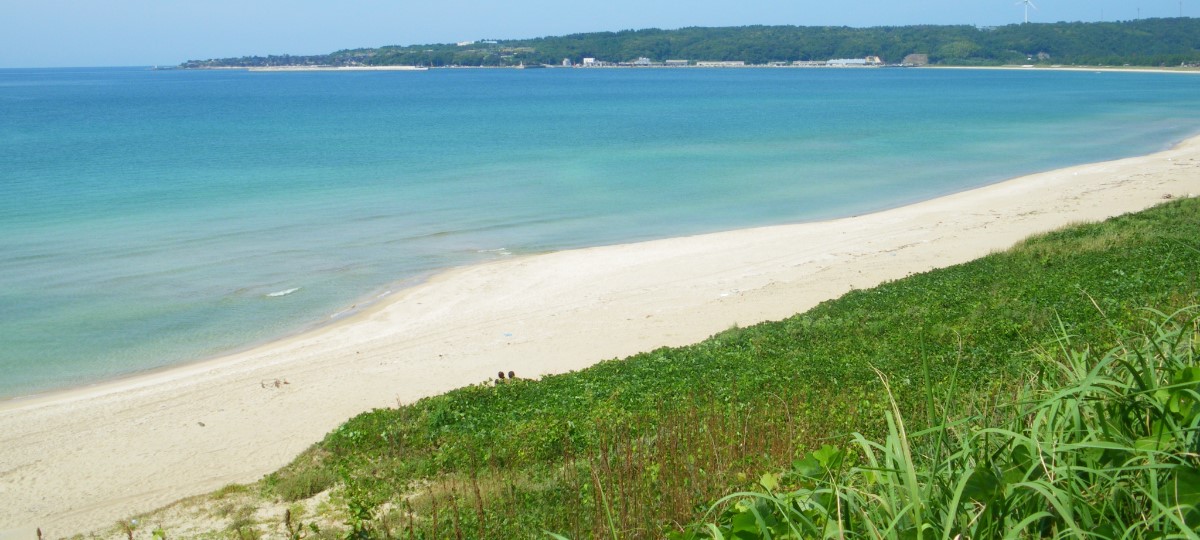 増穂浦海岸