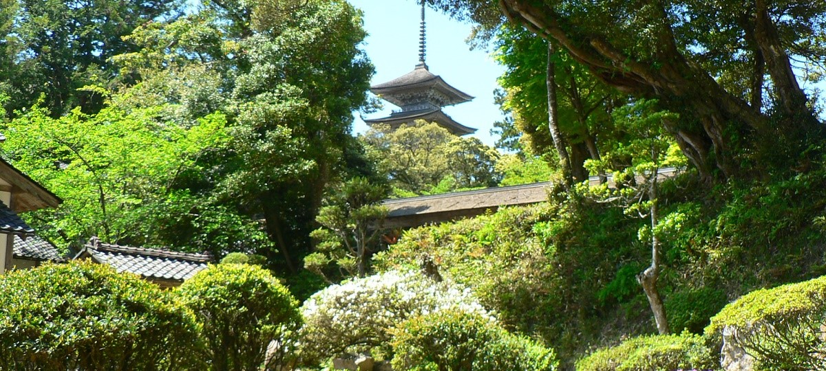 日蓮宗本山　金榮山　妙成寺