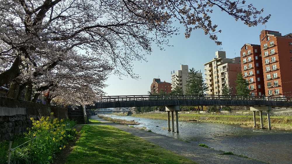 浅野川河畔